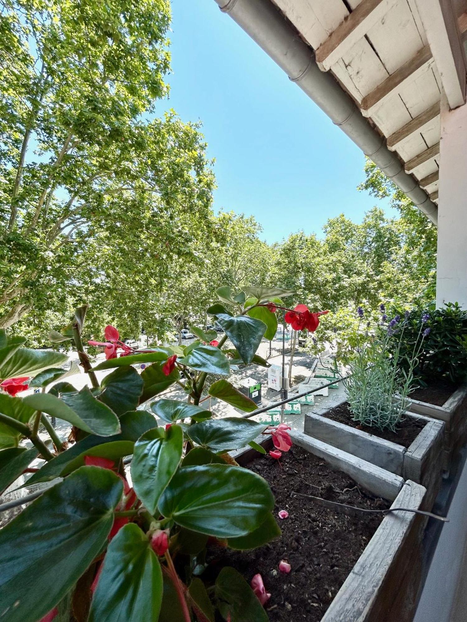 טולוז Loft Garonne - Centre Ville Immeuble Privatif מראה חיצוני תמונה