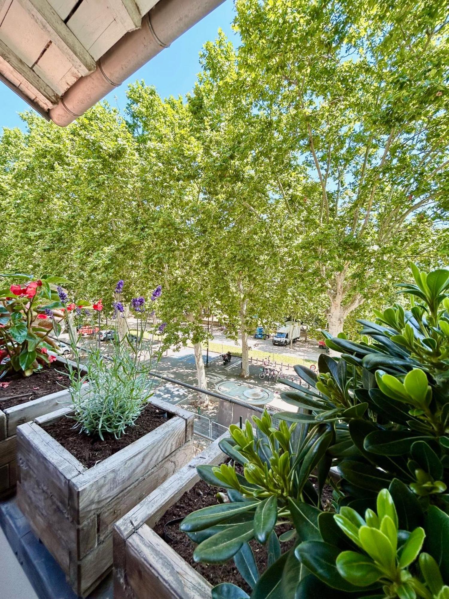 טולוז Loft Garonne - Centre Ville Immeuble Privatif מראה חיצוני תמונה