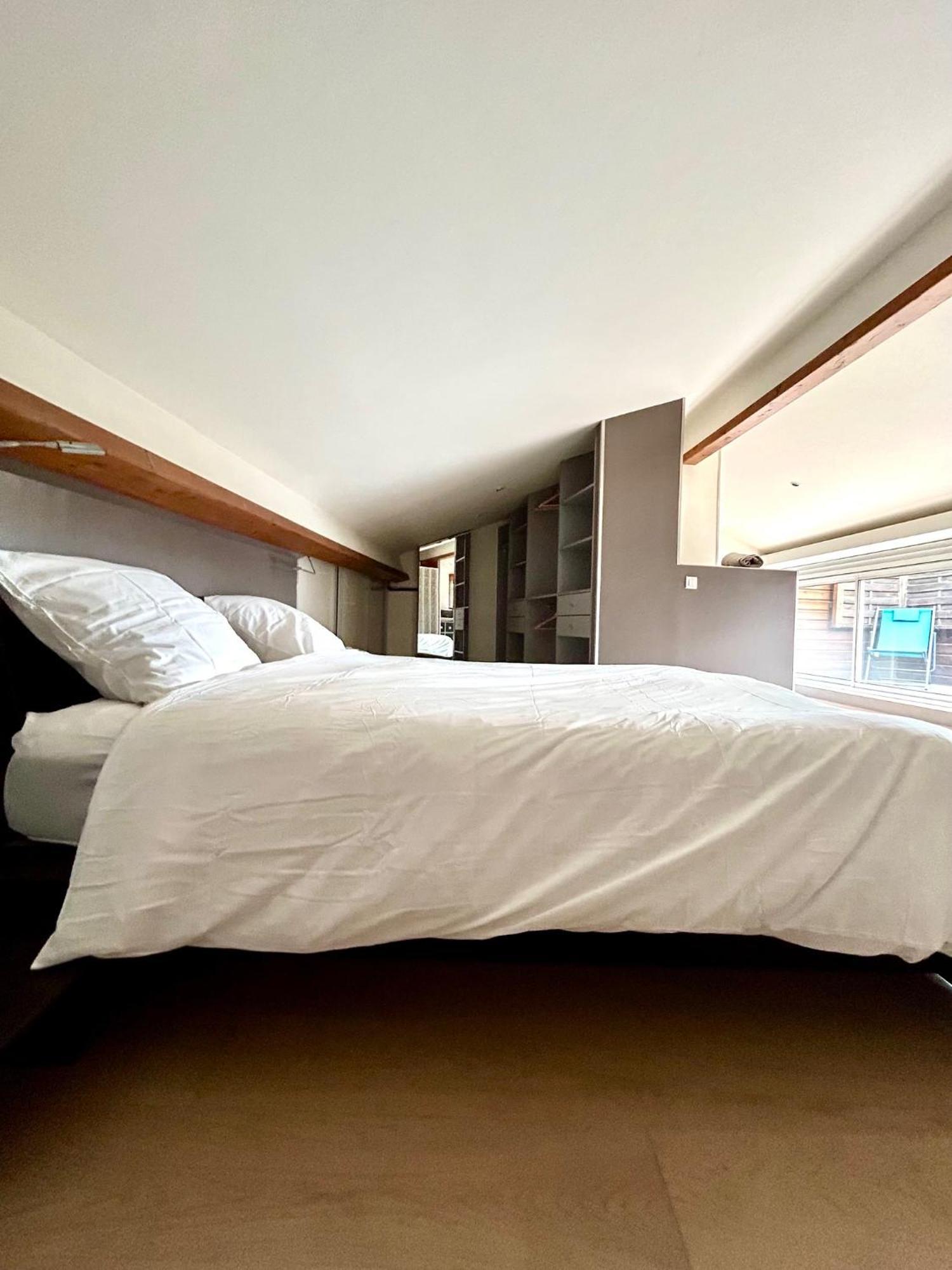טולוז Loft Garonne - Centre Ville Immeuble Privatif מראה חיצוני תמונה