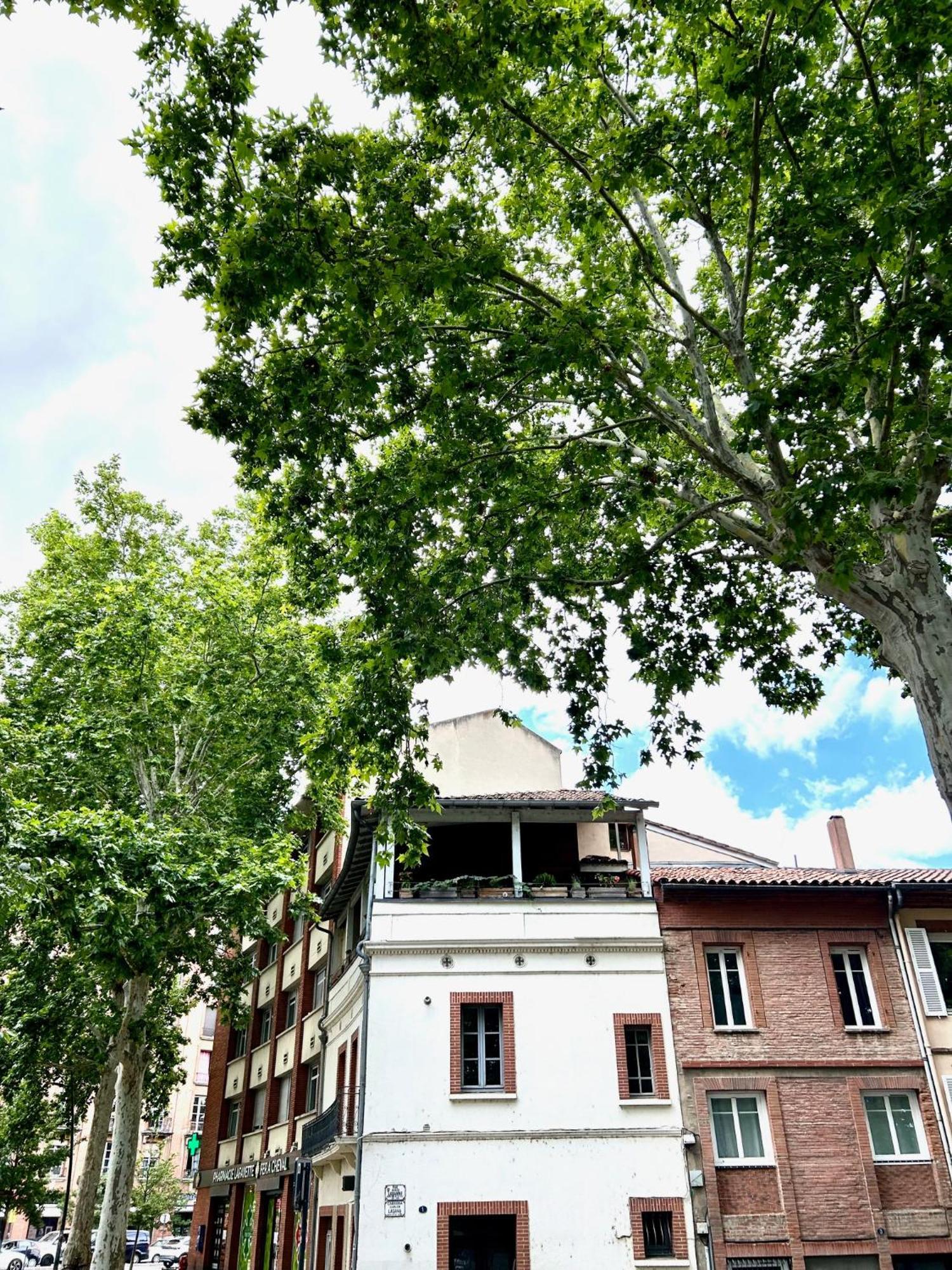 טולוז Loft Garonne - Centre Ville Immeuble Privatif מראה חיצוני תמונה